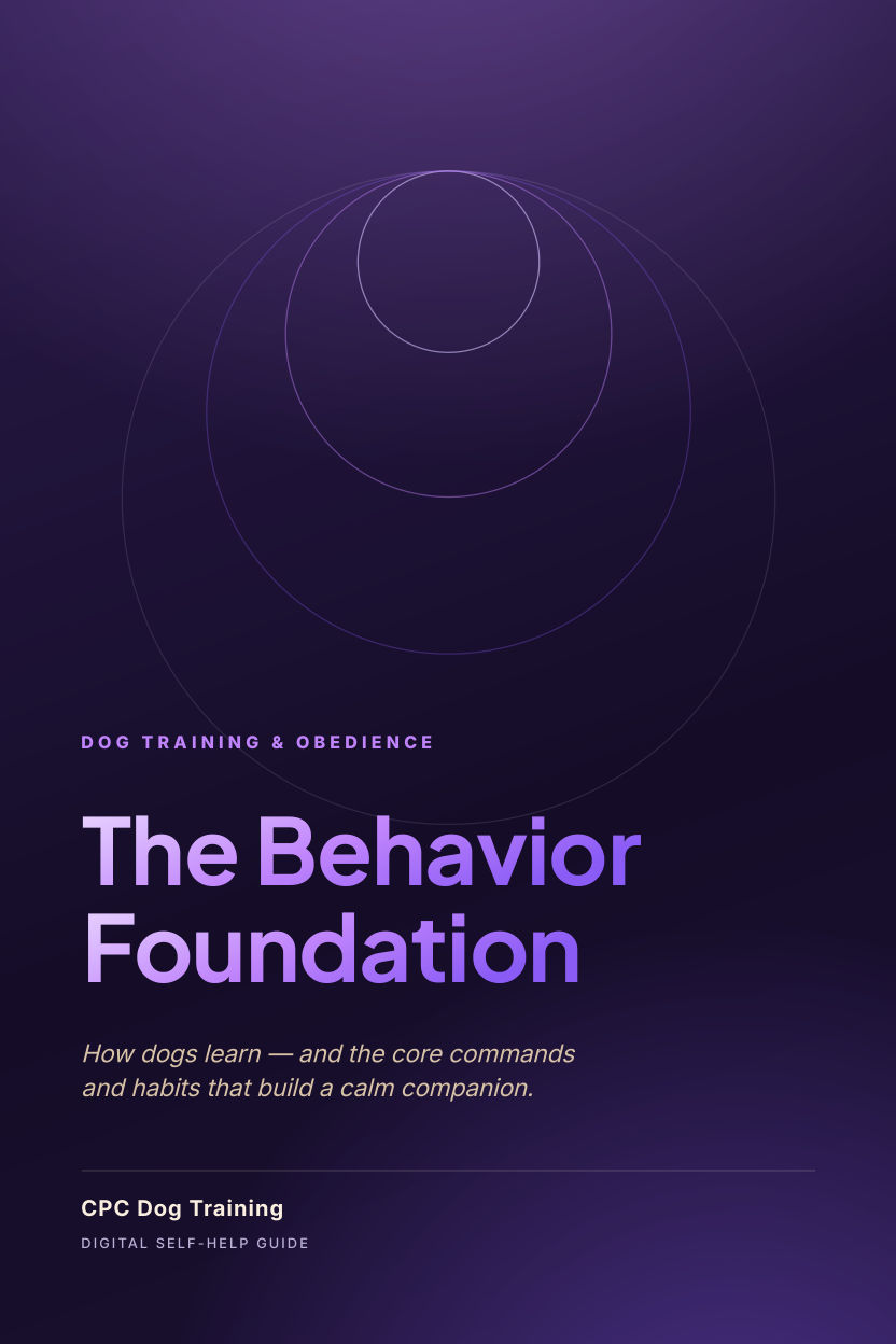 Cover of the The Behavior Foundation guide
